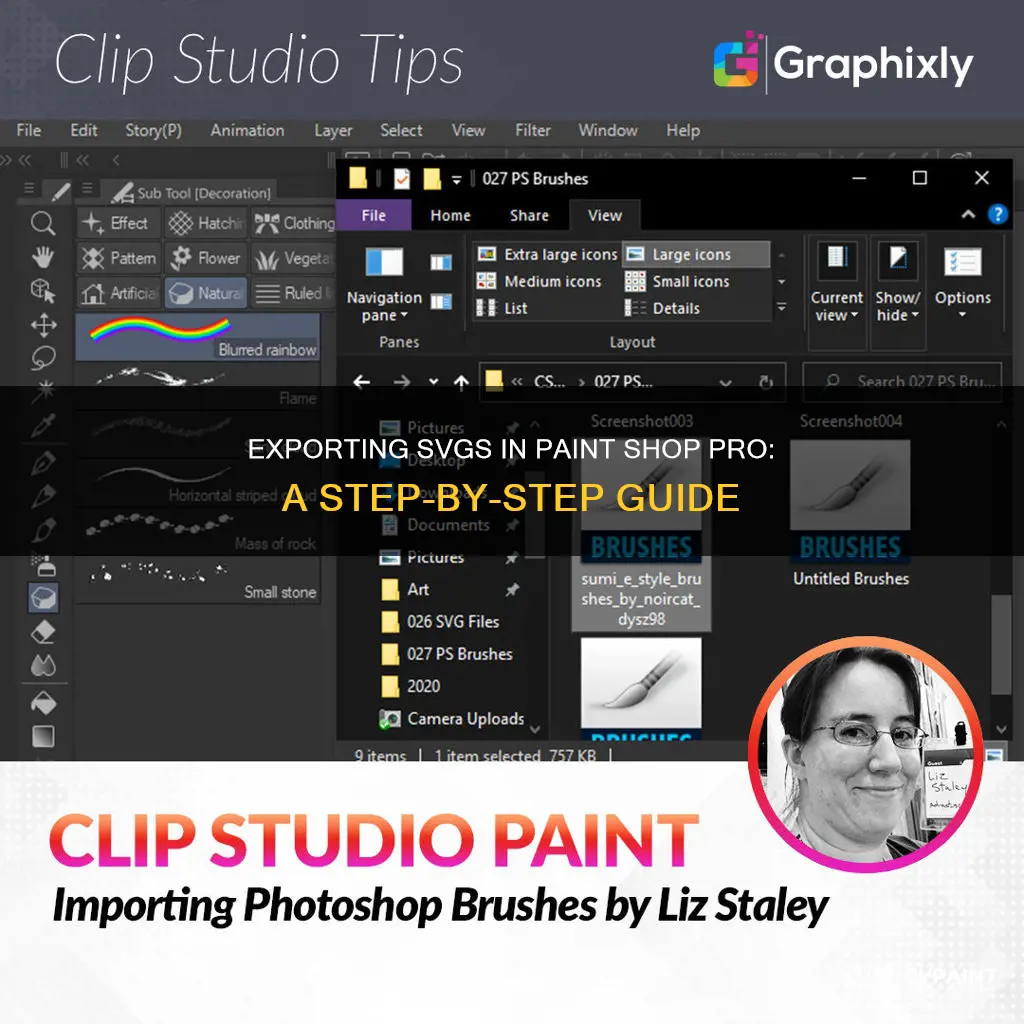 how to export as svg in paint shop pro