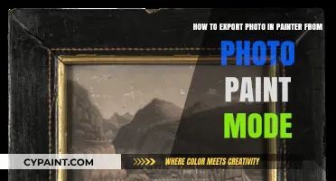 Exporting Photos from Painter's Photo Paint Mode: A Step-by-Step Guide