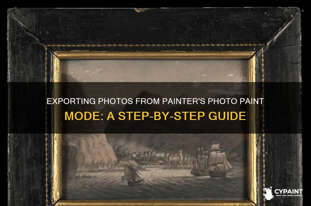 how to export photo in painter from photo paint mode
