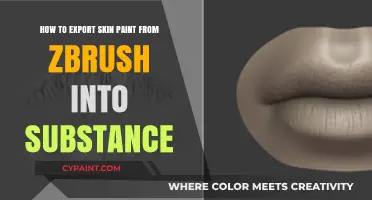 Exporting ZBrush Skin Paint to Substance: A Step-by-Step Guide