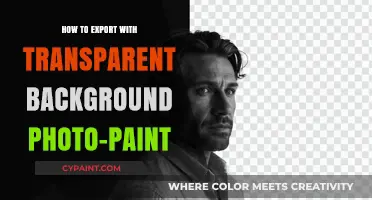 Mastering Transparent Background Exports in Photo-Paint: A Step-by-Step Guide