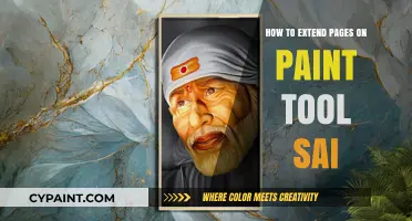 Mastering Paint Tool SAI: Seamlessly Extending Canvas Pages for Artists