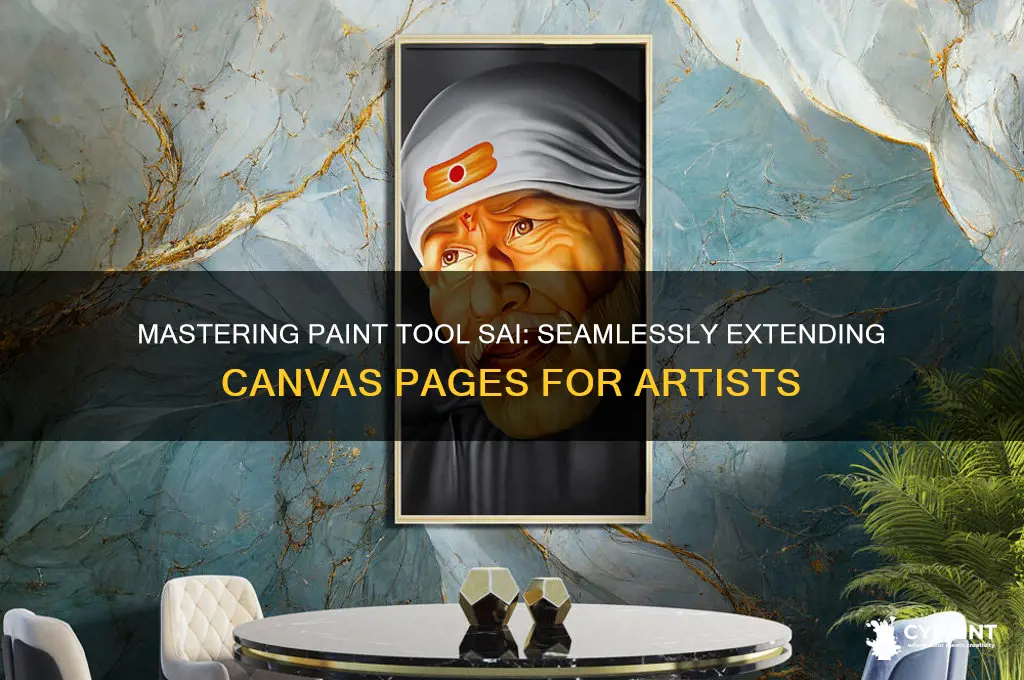 how to extend pages on paint tool sai