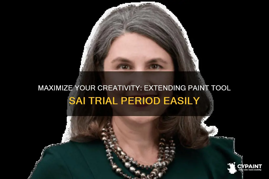 Maximize Your Creativity: Extending Paint Tool Sai Trial Period Easily ...