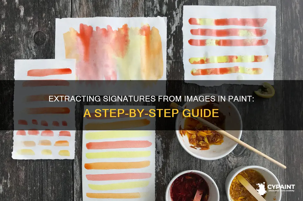 how to extract signature from image in paint