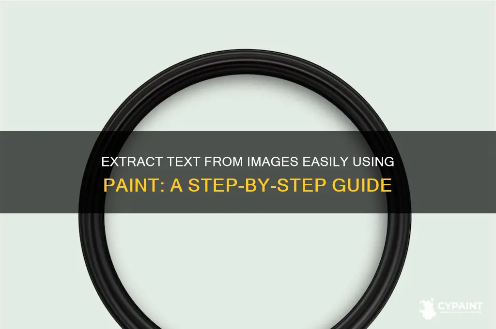 how to extract text from image with paint