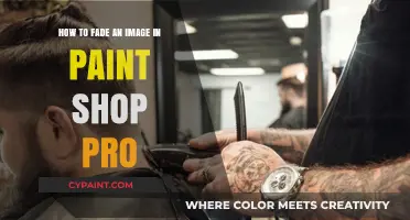 Mastering the Fade: Paint Shop Pro Image Editing