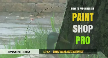 Mastering Soft Edges: A Guide to Fading in PaintShop Pro