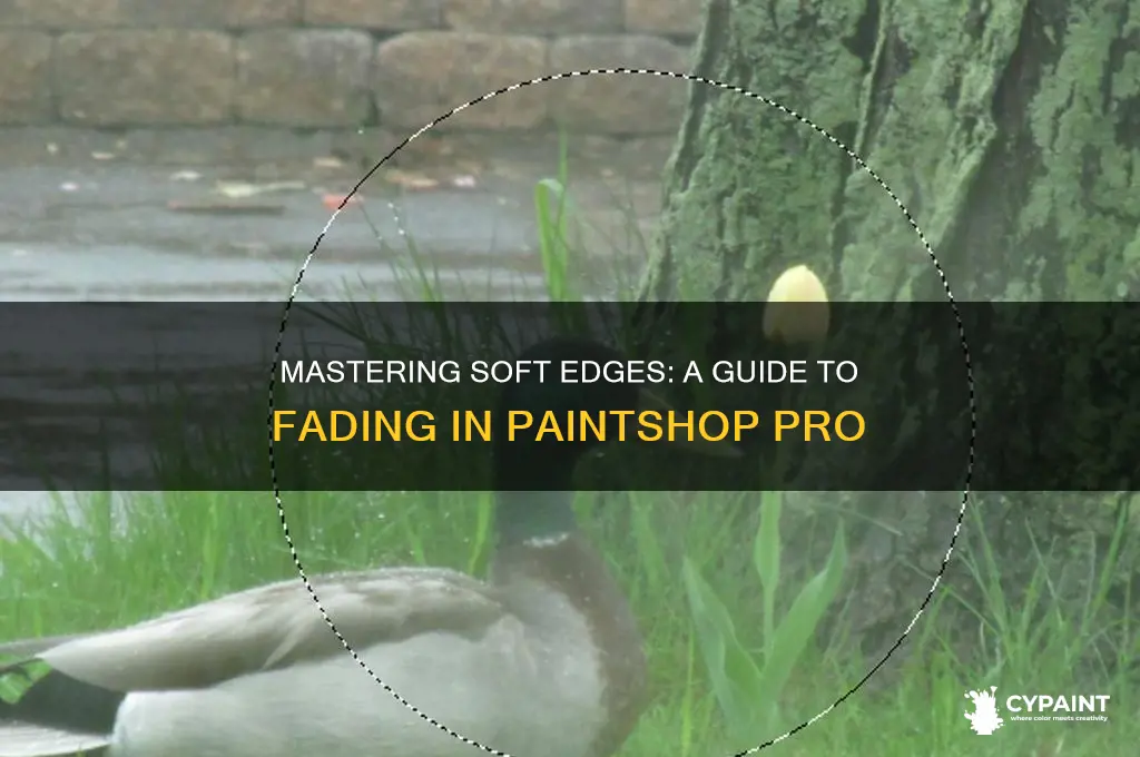 how to fade edges in paint shop pro