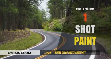 Quick Tips for Fast Drying 1 Shot Paint Applications