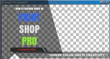 Master Feathered Edges in PaintShop Pro: A Step-by-Step Guide