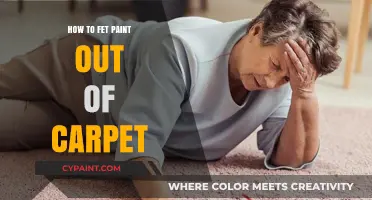 Effective Tips to Remove Paint Stains from Your Carpet Easily