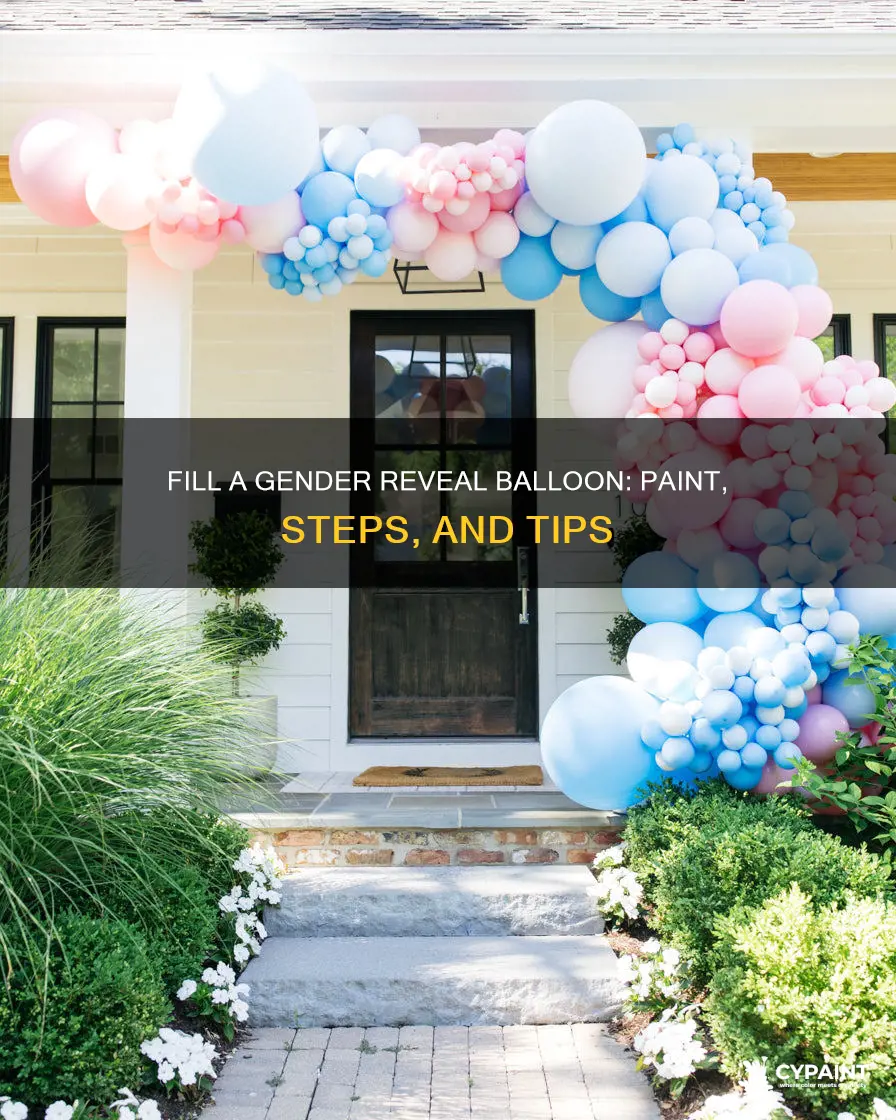how to fill a gender reveal balloon with paint
