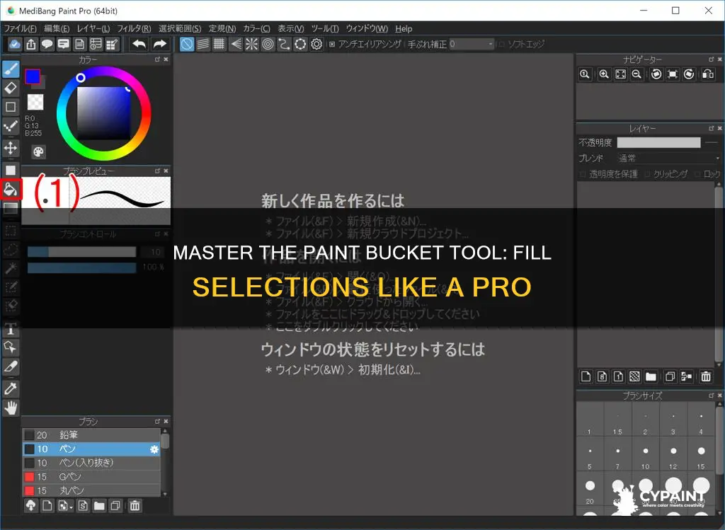 how to fill a selection with the paint bucket