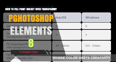 Mastering Transparency: Filling Paint Bucket in Photoshop Elements 8
