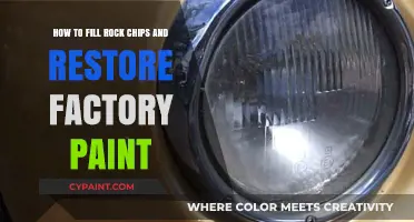 Restore Rock-Chipped Paint to Factory Fresh