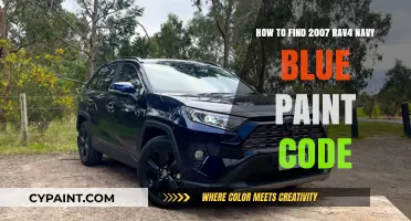 Finding the Navy Blue Paint Code for Your 2007 Rav4