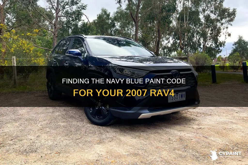 how to find 2007 rav4 navy blue paint code