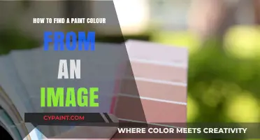 Matching Paint Colors: Extracting Shades from Photos