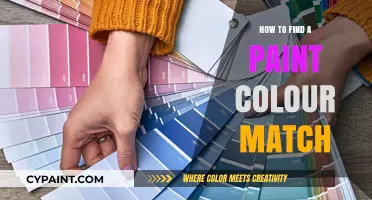 Mastering Paint Color Matching: Tips for Finding the Perfect Hue