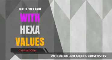 Finding the Perfect Paint: A Guide to Hexa Color Values