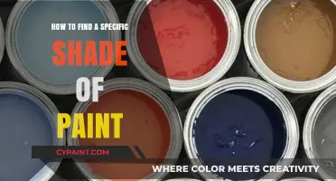 Mastering Paint Selection: Tips to Find Your Perfect Shade Effortlessly
