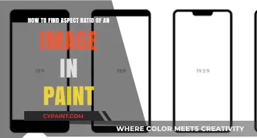 Finding Image Aspect Ratio in Paint: A Quick Guide