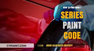 Locate Your BMW 1 Series Paint Code: A Simple Guide