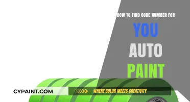 The Right Auto Paint: Finding Your Car's Code Number