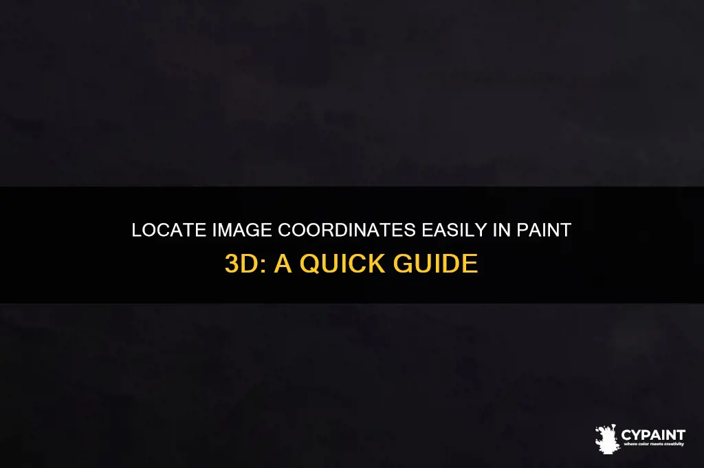 how to find coordinates of an image in paint 3d