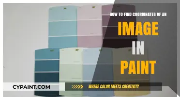 Locating Image Coordinates in Paint: A Simple Guide
