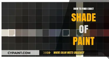 Mastering Paint Matching: Tips to Find Your Perfect Shade Effortlessly