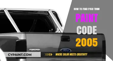 Locate Your 2005 F150 Trim Paint Code: A Quick Guide