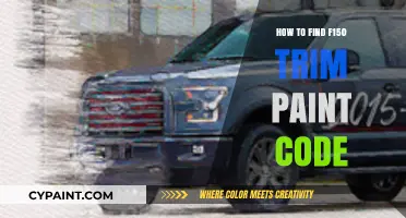 Locate Your F150 Trim Paint Code: A Quick Guide