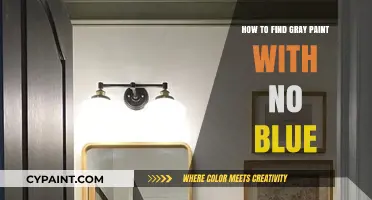 Choosing the Perfect Gray Paint: Avoiding Blue Undertones with Ease