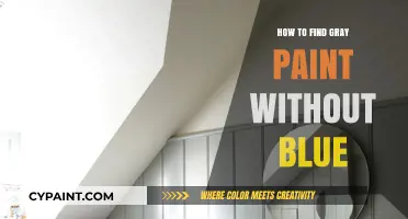 Choosing the Perfect Gray Paint: Avoiding Blue Undertones with Ease