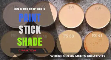 Find Your Perfect Kryolan TV Paint Stick Shade