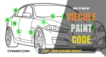 Locate Your Vehicle's Paint Code: A Quick and Easy Guide