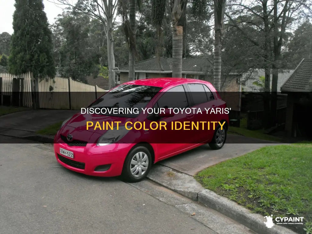 how to find name of paint on toyota yaris
