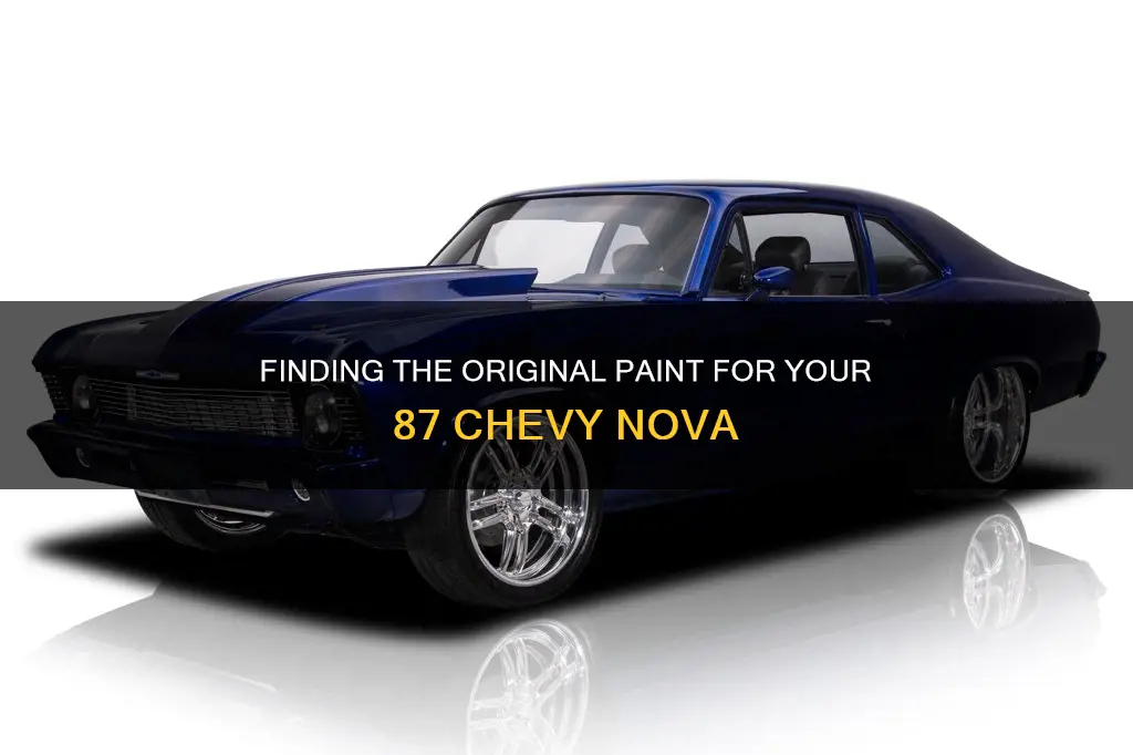 how to find original paint for 87 chevy nova