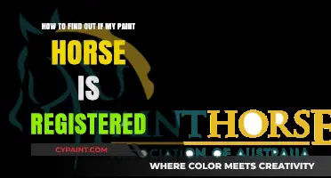 Is Your Paint Horse Registered? Here's How to Verify Ownership