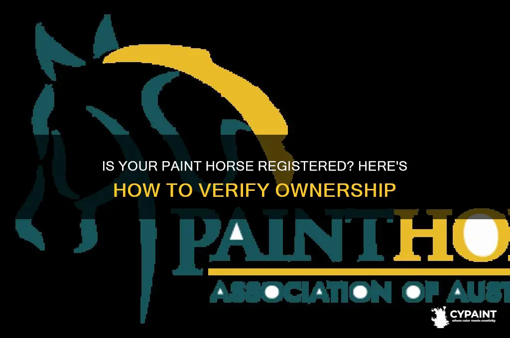 how to find out if my paint horse is registered