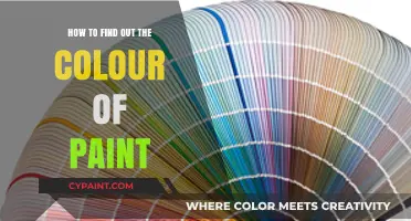 Discovering Paint Colors: A Simple Guide to Accurate Identification