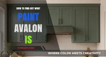Discovering Avalon Paint: A Step-by-Step Guide to Identifying the Color