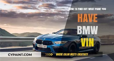 Identify Your BMW's Paint Code Using the VIN: A Simple Guide
