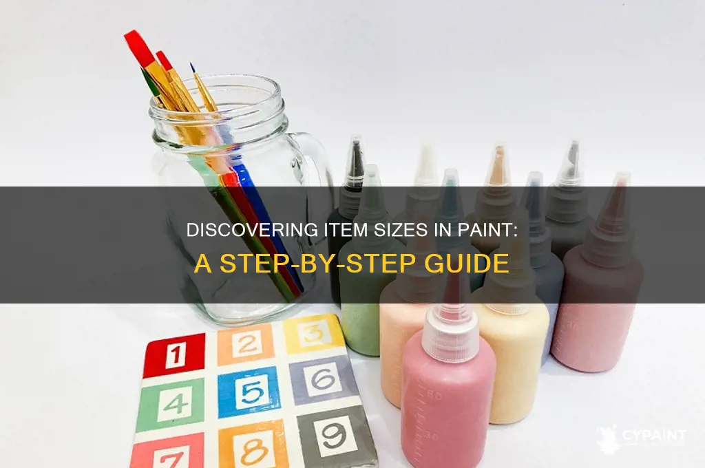 how to find out what size items are in paint