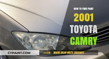 Finding the Perfect Paint Match for Your 2001 Toyota Camry