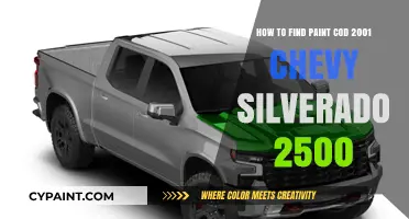 Finding the Right Paint Code for Your 2001 Chevy Silverado 2500