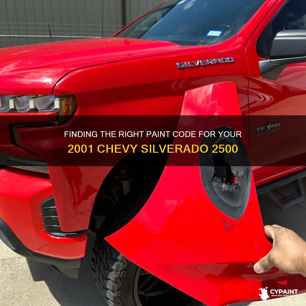 how to find paint cod 2001 chevy silverado 2500