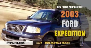 Finding the Paint Code for a 2003 Ford Expedition